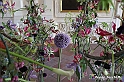 VBS_0163 - Corollaria Flower Exhibition 2022